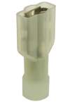 TA024FDFNY2250
